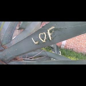 Meet your Posher, Felipe